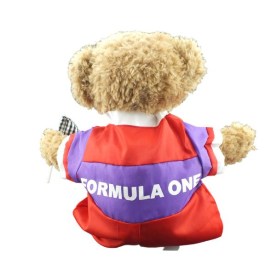 Racing Driver Back